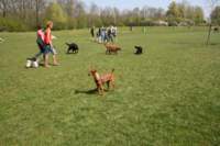 img_2274_small.jpg