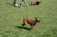 img_2275_small.jpg