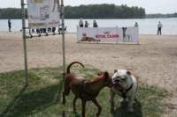 img_2282_small.jpg