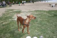 img_2284_small.jpg