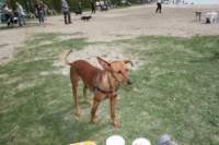 img_2285_small.jpg
