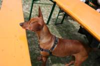 img_2286_small.jpg