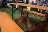 img_2287_small.jpg