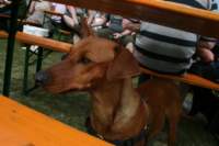 img_2288_small.jpg