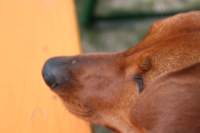 img_2289_small.jpg
