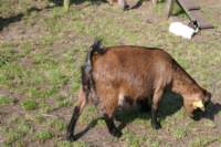 img_1014_small.jpg