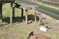 img_1015_small.jpg