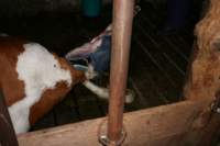 img_1094_small.jpg
